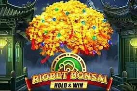 Riobetcasino game